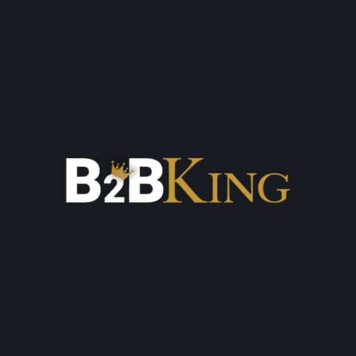 Descargar-B2B-King-Wordpress-Plugin
