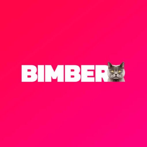 Descargar-Bimber-Viral-Magazine-Wordpress-Theme