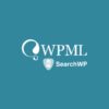 Descargar-Gratis-SearchWP-WPML-Integration