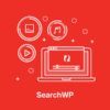 Descargar-SearchWP-Enable-Media-Replace