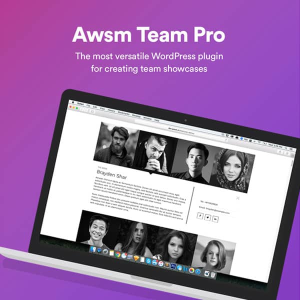 Descargar-The-Team-Pro-Team-Showcase-WordPress-Plugin
