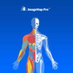 Descargar-Gratis-Image-Map-Pro-for-WordPress